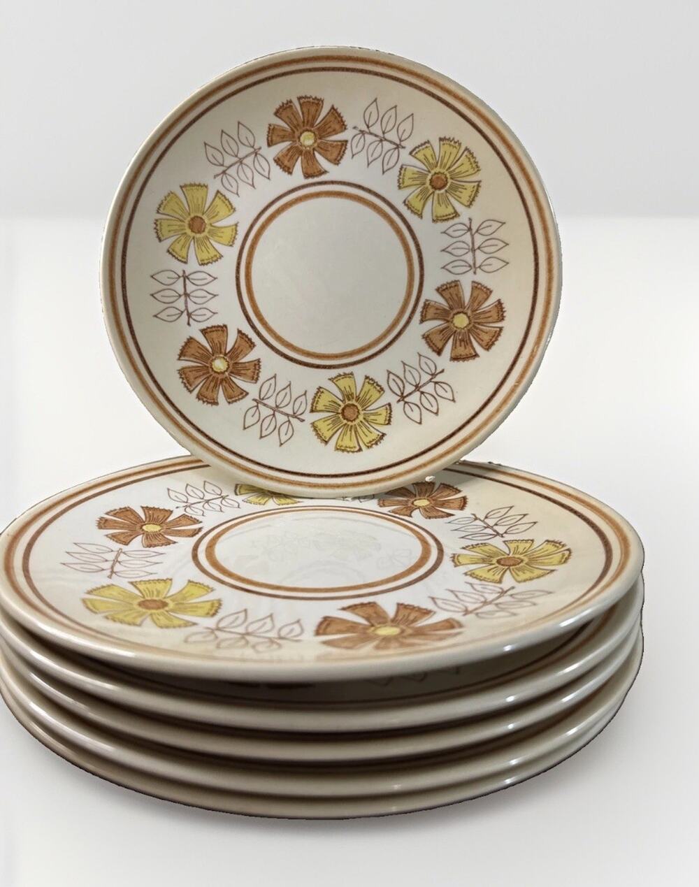 Vintage Taylor Smith Taylor Straw Flower Dinner Plates 1970s Ironstone Set of 6